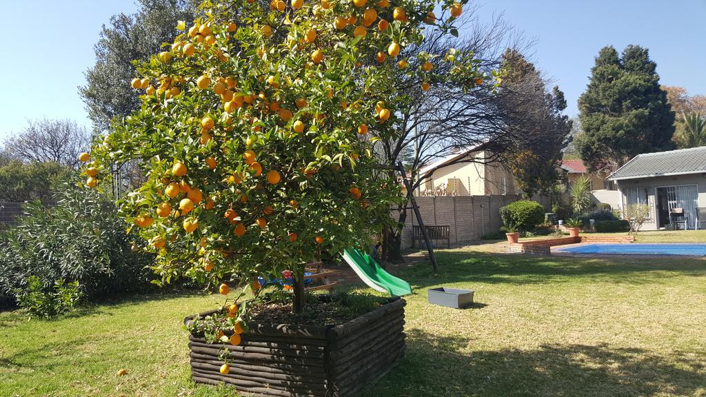 8 Ibis Lane Guest House Johannesburg Eksteriør billede
